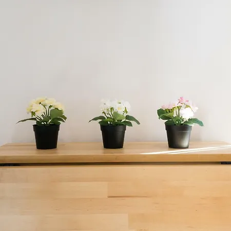 Apartment Ma1a-apt With Rooftops With Palms Close To Old Town *